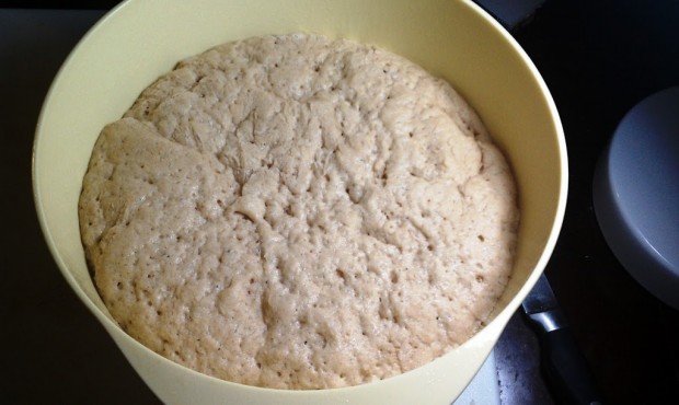 Dough Risen