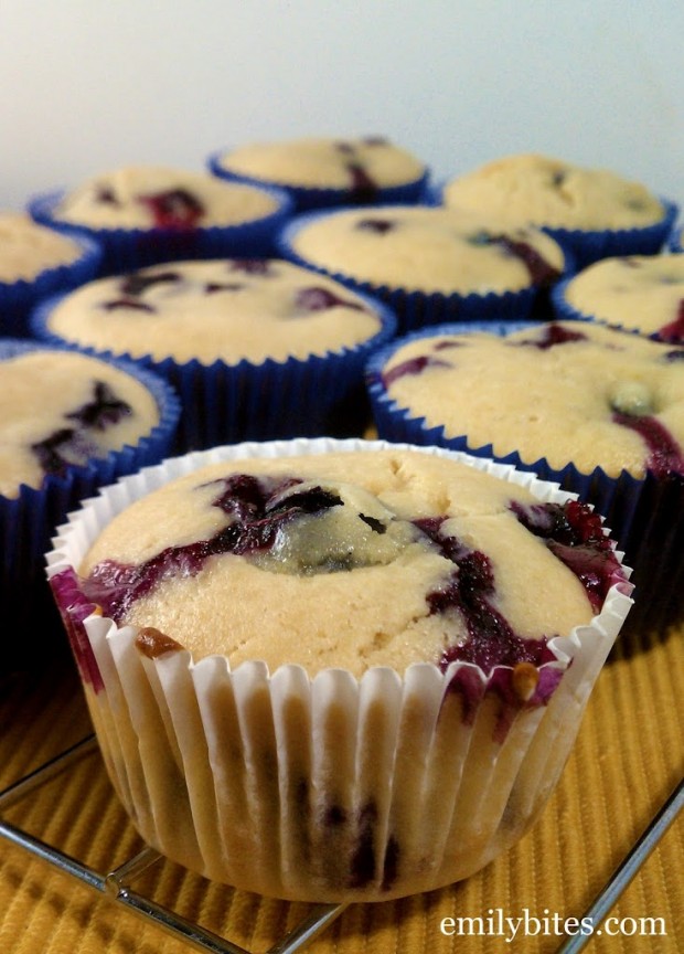 Lemon Blueberry Muffins