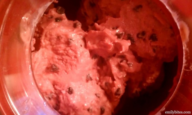 Raspberry Chocolate Chip Frozen Yogurt