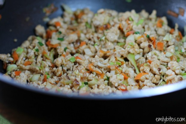 Chicken Egg Roll Filling