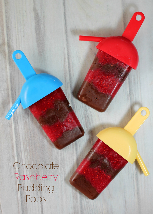 Chocolate Raspberry Pudding Pops