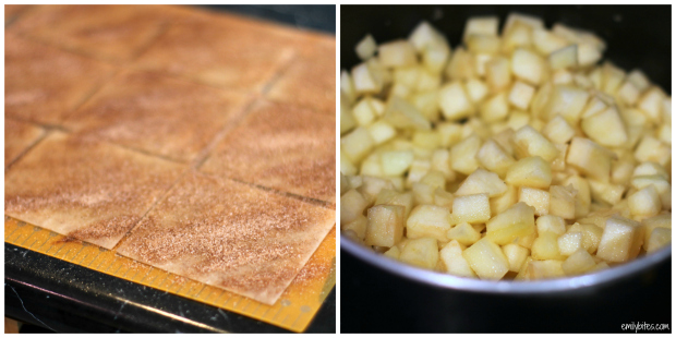 Mini Cinnamon Apple Tart