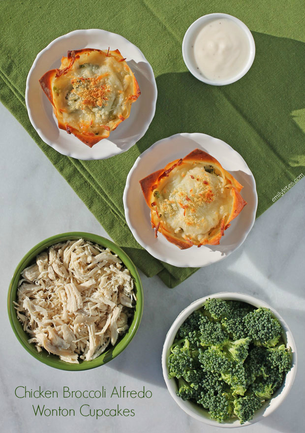 Chicken Broccoli Alfredo Wonton Cupcakes