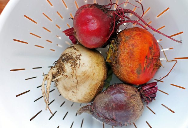 Roasted Beet Salad
