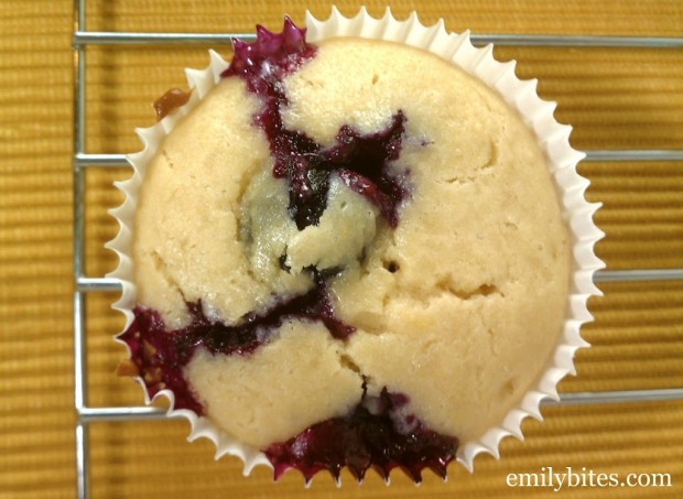 Lemon Blueberry Muffin