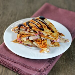 Turkey Cranberry Quesadilla