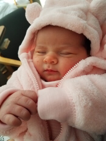 Claire Bear