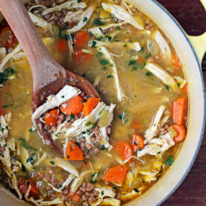 Chicken Noodle Soup in a pot