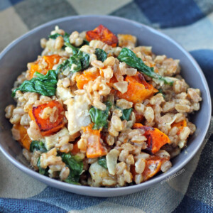 Butternut Squash and Chicken Farrotto in a bowl