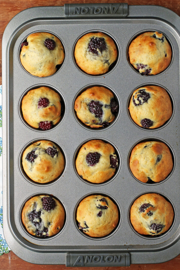 Blackberry Vanilla Muffins in the muffin tin