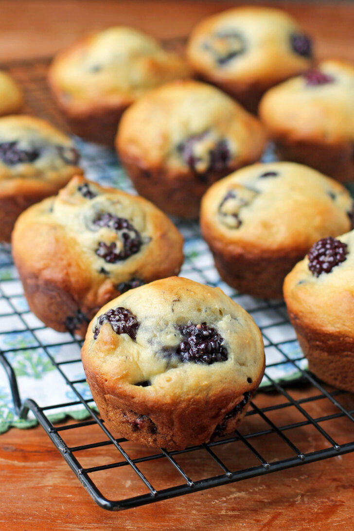 Blackberry Vanilla Muffins cooling on the rack